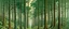 Placeholder: A bluish green forest with tall trees painted by Edward Hicks