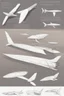 Placeholder: ideation air craft aeroplane inspired by shark