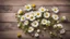 Placeholder: Garden chamomile flowers on wooden background. Top view with copy space