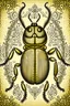 Placeholder: vintage, gothic, steampunk drawings of a beetle, sepia-toned