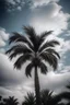 Placeholder: photography of a hight palm tree, clouds in background