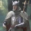 Placeholder: Crusadeer knight