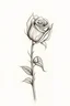 Placeholder: A simple, yet evocative, sketch of a single rosebud about to bloom, symbolizing potential, beauty, and the unfolding of life's mysteries. with light color background