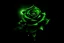 Placeholder: create green rose and black backround