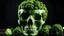 Placeholder: (photography:1.3), (RAW photo:1.3), human skull made of broccoli, dark background, backlight