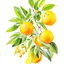 Placeholder: Drawing of citrus fruits, branches with leafs oranges realistic, colors, vibrant, white background, structured paper