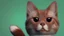 Placeholder: sassy cat see you