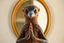 Placeholder: full body portrait of humanoid weasel shiny yoga peach crow semi transparent hypnotic kind eyes in front of mirror