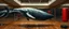 Placeholder: whale as punching bag, painted by Rembrandt, inside reflective mirror house, infinite mirrors