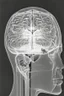 Placeholder: front view brain injury patient with unilateral spatial looking to the right side of space