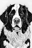 Placeholder: A line art of a dog (Bernese Mountain Dog). make this black and white and a bit filly