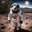 Placeholder: Ground Hog Day; he is wearing a spacesuit