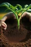 Placeholder: Don't forget about the benefits, that reach beyond the soil,