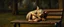 Placeholder: master oil painting by Rembrandt, fat kobold gremlin sleeping on a bench in the park