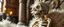 Placeholder: close up on fluffy laughing skeleton in a heretic place shaking