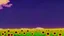Placeholder: purple sky full of stars, sunflower field, anime, high res, makoto shinkai