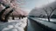 Placeholder: Cherry Blossoms in Hokkaido in the wintertime, Canon RF 16mm f:2.8 STM Lens, hyperrealistic photography, style of unsplash and National