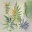 Placeholder: Generate an asymmetrical arrangement of weed joints, each placed in different area of the canvas, with subtle variations in size and orientation. watercolour sketch