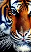 Placeholder: Tiger in suit, photo, realistic, 8k