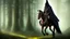 Placeholder: Dark robed wizard on a horse in the forest