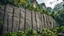 Placeholder: flat wall of rock in the jungle at the foot of the mountain