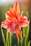 Placeholder: Macro image with morning dew over the gladiolus flower, raw foto, natural colors, dynamic light and shadow, very detailed scene with intricate details,