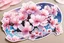 Placeholder: fantastic light cherry blossoms from many perspectives each as stickers on a sticker sheet