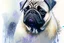 Placeholder: Pug, portrait by Willem Haenraets, watercolor, wet on wet and splattering techniques, centered, perfect composition, abstraction, surrealism