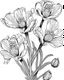 Placeholder: real massive Freesia flower coloring page