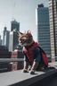 Placeholder: spider man cat in the city