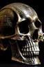 Placeholder: Stereoscope pattern image of a human skull