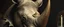 Placeholder: close up portrait painted by Rembrandt, stupid looking furry dragon rhino at banquet