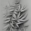 Placeholder: draw a pencil drawing that potrays the pleasure and relaxation derived using elements like, weed leaves, soft textures, hazy, and gentle curves to evoke a sense of tranquillity and bliss. generate patterns