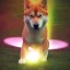 Placeholder: shiba inu doge in heaven glowing aura