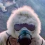 Placeholder: Yeti, background = (wildfires, mountains, fires, smoke, disaster)