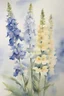 Placeholder: Watercolour of delphiniums in the style of willem henraets