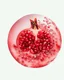 Placeholder: pomegranate seeds are scattered on a white background