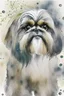Placeholder: Abstract wet watercolour of a Shih tzu ink lines, interlinked circles,detailed focus on eyes