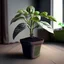 Placeholder: make realistic photo on: what does a 2 pound plant look like