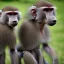 Placeholder: photo, robot baboons