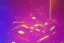 Placeholder: Vector technology abstract background with dynamic amorphous vector flowing gradient particle water curve waves and modern pink, yellow, orange lines. Retro futurism geometric, cyberpunk.