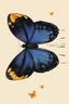 Placeholder: very beautiful butterfly