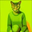 Placeholder: Portrait of a cat by Van Gogh