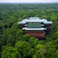 Placeholder: top view a open top huge library in forest with fireflies around trees that have wide leaves and broad trunked at night with moonlight.