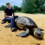 Placeholder: Mitch Mconell Riding a turtle