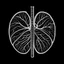 Placeholder: Lungs, Logo, 4k, high resolution, simple