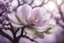 Placeholder: Half Tree Magnolia Flower Purple Light Translucent Layered Close-up Clear Distant Blur Poetic Photography Flat View Realistic 8K HD