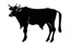 Placeholder: Aubrac: cow clipart style simple stencil