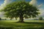 Placeholder: ultra photo realistic tree of life in meadow english countryside from a distance scenery painting