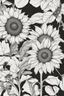 Placeholder: outline art ofSunflowers only black and white, no colour , White background. sketch style, clean line art, white background, no shadow and clear, no people, no colour, for book